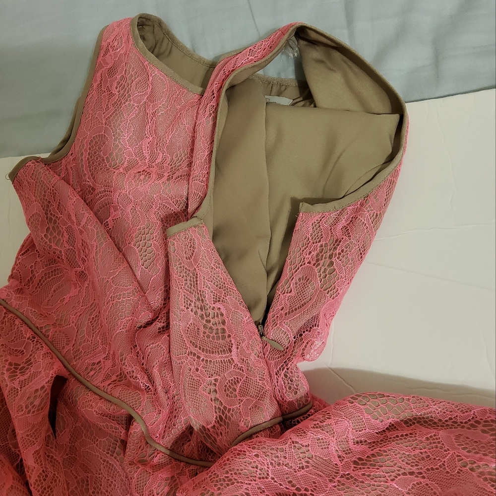JESSICA SIMPSON PINK LACE TAN LINED FIT & FLARE SLEEVELESS SCOOP NECK SIZE 4 - Picture 6 of 10